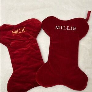 Pottery Barn Velvet dog bone stocking